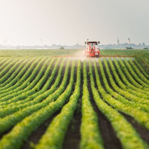 Các cơ hội kinh doanh nông nghiệp xanh cho bạn trẻ Đồng Tháp khởi nghiệp