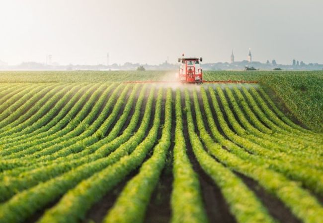 Các cơ hội kinh doanh nông nghiệp xanh cho bạn trẻ Đồng Tháp khởi nghiệp